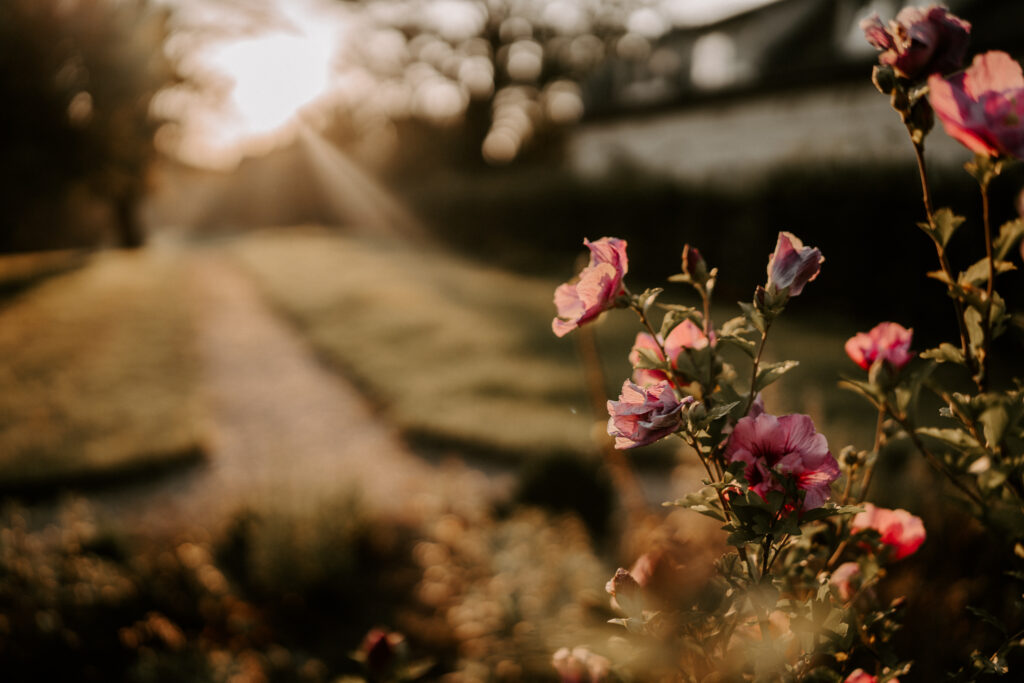 Rittergut Ermlitz Location Hochzeit